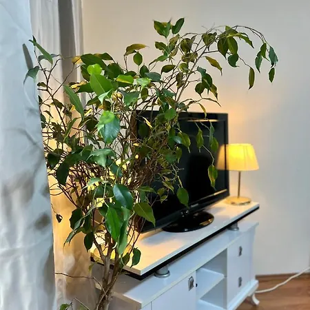 1+1 Istiklal Caddesine 100 Metre Apartment *